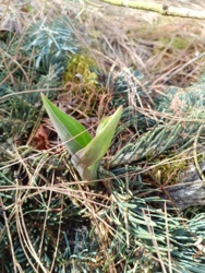 2f0fecde-f9df-445c-a5b6-320ca99f2048