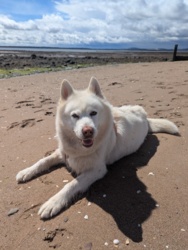 418f179b-7a4b-49b7-ba02-fa6615fac39f