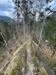 5f5cbf7e-3a2f-41f7-a701-adc7bef52829