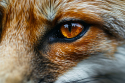 34713502-1ee4-4088-b3b2-074aaf0f4186