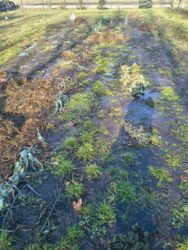 f1b9d573-692a-49df-8c7d-791d825b13b3