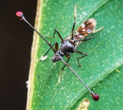 760b3e2d-7db3-4080-b274-9ab03c23ff65