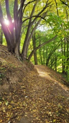 89121dd6-04cd-4dcd-a6a3-1107a62b5a7e