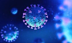 ECDC ostrzega, że omikron stanowi wysokie zagrożenie dla Europy