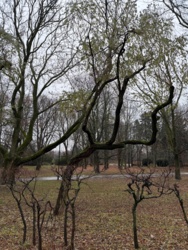 a3c64a29-db14-47d0-b531-a3e4f742bf42