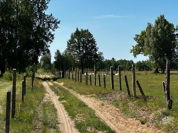 a46211df-022a-4e12-a1a4-7753b6f6c9b1