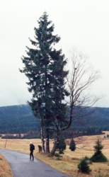 9264f44c-37f1-489b-933d-ab4fb605f67e