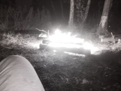 ded94ab7-bdb2-4215-b107-e8d4f950e87b