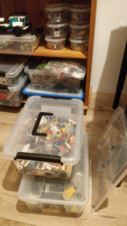 8d3b613e-91e5-49a6-ba6b-210cd10f9d46