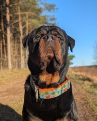 d822782e-0077-403a-90ee-903b75347ebb