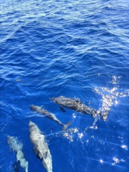 3dd25ba0-7506-4e8a-a764-6192466a1125