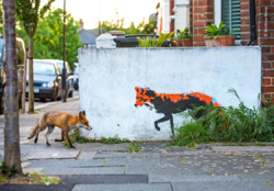 46b74c94-006b-415a-952c-ca4ac44a723c