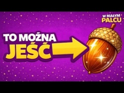 Jak przyrządza się żołędzia. Jadalne owoce naszych lasów