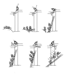 f7389887-f559-4a33-a7a8-a44650290186