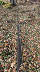 3bd1b69a-c67e-44de-b953-35a1f78d2eb6