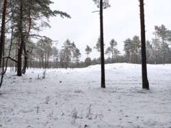 5580d020-bc67-4706-b53f-cc2b42c50ed4