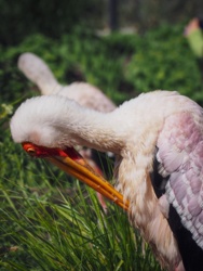 fca6fb26-9738-459d-bb2f-d0a5b3eb333a