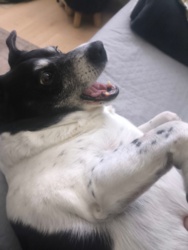 f7df73e1-9e88-41e3-b269-5296db2d4f61