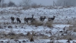 933adafd-1801-4f39-9803-80d4361f4cce