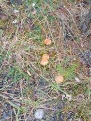 9a0024e4-a9e7-4074-9766-47a08486ae98