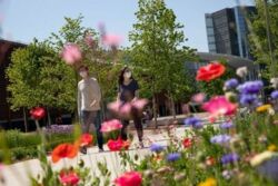 Pandemia powiększyła grupę młodych 3XNie