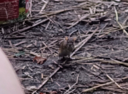 f553ee0f-09e5-483f-a6e5-19df25fd0557