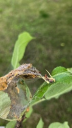 75cba71c-422b-48ad-9819-ddebff071912