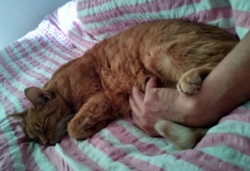 9fcd5a0c-2c99-419a-94bf-fc3a0d2dba11