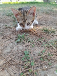 bd90c722-aba3-4903-8092-b659457f227a