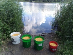 ae268a30-041c-4c8e-b613-9e777af6ea85