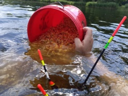 8c6c187d-749c-4e80-881b-97e9330ab78f