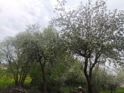 3ad018d4-4aa0-42f3-ab72-ab0fa96360ef