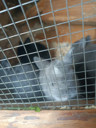 e85cd2e7-ec8c-42a2-9ff3-c4f76dfe7e5a