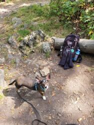 c6b65257-a999-46ea-9578-9d3800e36e30