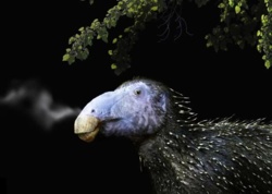 Dziwaczny dinozaur wyglądał jak z innej planety. Nie przypomina niczego, co znają naukowcy