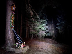 0f8b87ba-bbda-46ee-92a3-2e28d76e4afb