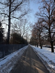 ac6692ab-07ed-45ef-8f70-89add8fc5fcd