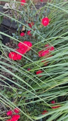 46cf4149-ff1b-4d02-aaf6-819a0f0d00c9