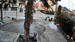 ff152b0e-49bd-45dd-a57a-5d173a3b7899