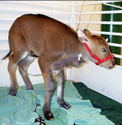 60006300-ff34-4f51-a9fa-04af2ca97b5a