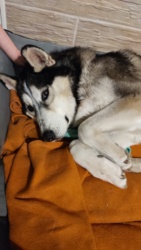 8a5f976e-4d62-49bd-a798-6660d28a97bc