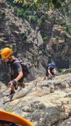 94f7f808-abf9-4b0b-92b2-8abe26020125