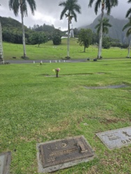 19a56311-672d-4c9d-b68e-68ea899f73de