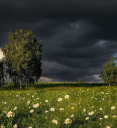 3dcb0bb1-080b-46cd-bcbd-c3cda76ef80c