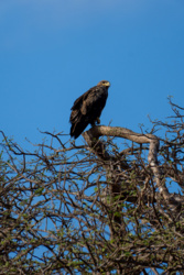 3981d84c-cd53-44ca-9a96-0e0eb8b564fb