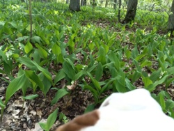 c385e24e-bed1-42f1-8996-03c444ef2b74