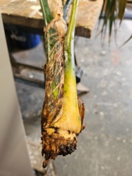 96908282-95aa-4a42-8c1c-1b7c9701e232