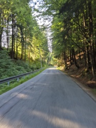 acbe446c-f2cb-48b4-ad17-4845ccb4ce23