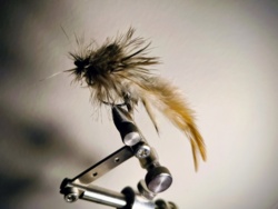 09e032af-26d1-4290-b995-a745cf20b00c