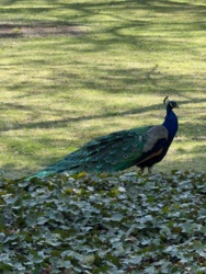 8a6df97e-fc16-439d-a97f-d02e38c88fef